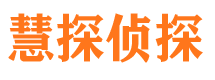 双城市侦探调查公司